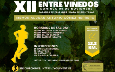 XII Carrera Popular Entre Viñedos