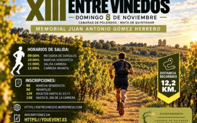 XIII Entre Viñedos
